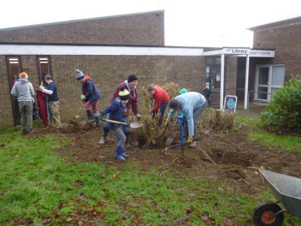 Community Garden 2